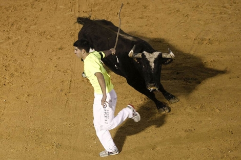 Un recortador corre ante el toro Ratn en Vinars. | Efe