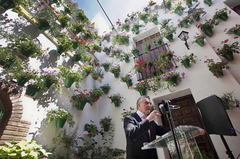 El consejero Plata defendiendo la candidatura de los patios cordobeses en uno de ellos. | Madero Cubero