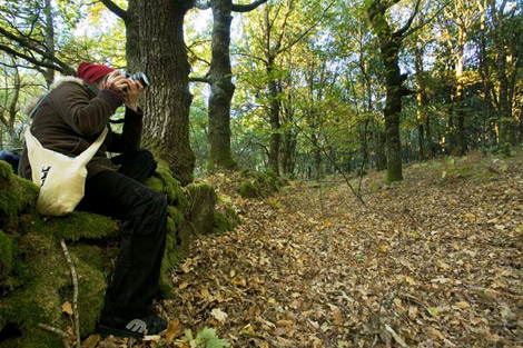 El Bosque de Catasós, uno de los principales atractivos de Lalín. | Turgalicia