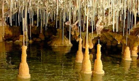 Las formaciones de espeleotemas freáticos en la cueva de Vallgornera | P. Robledo