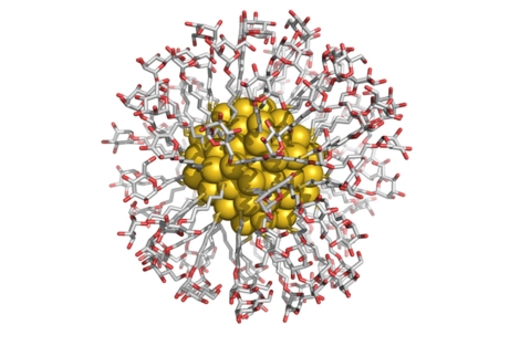 Esquema de una gliconanopartícula. Cada bola dorada representa un átomo de oro. | Soledad Penadés