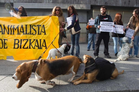Dueños de perros de más de 8 kilos protestan frente al metro. | Mitxi