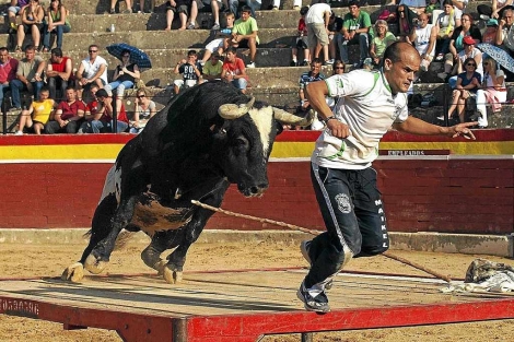 El toro Ratn persigue a un corredor en la plaza de Castelln | Alberto de Jess