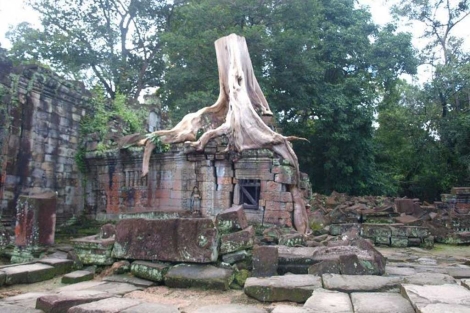 Una de los templos de Angkor, invadidos por la naturaleza. | Teresa Guerrero
