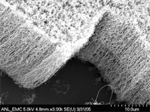 Nanotubos de carbono crecidos de forma alineada.| Wikipedia.