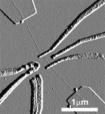 Nanotubo entre electrodos. L. Kouwenhoven,| Universidad de Delft (Holanda)