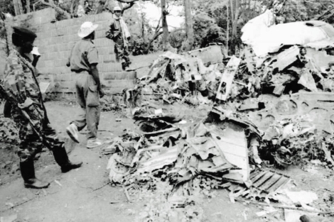 Rebeldes del Frente Patritico de Ruanda inspeccionan los restos del avin.| ELMUNDO