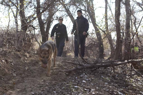Un perro y dos agentes rastrean los mrgenes del Guadalquivir. | Madero Cubero
