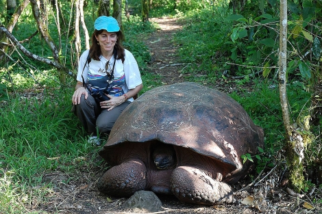 Anna Traveset, investigadora del IMEDEA, con una tortuga gigante en la Isla de Santa Cruz. | Manuel Nogales