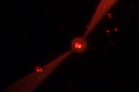 Laser estocstico formado por nanopartculas (centro) siendo bombeado por dos haces en forma de cua. | C. Lpez