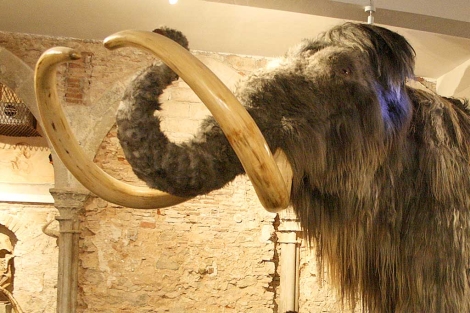 Reproducción de un mamut lanudo. | EL MUNDO
