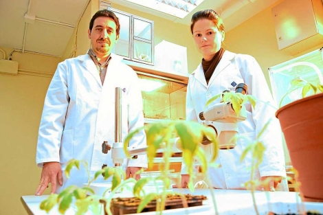 Miguel Ángel Miranda y Ana María González en el laboratorio de la UIB. | A. Vera