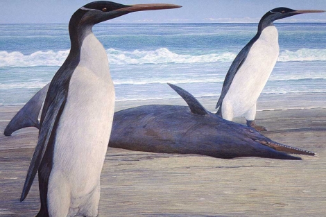 Ilustración que muestra a dos pingüinos y un delfín de hace 25 millones de años. | Chris Gaskin / Otago University
