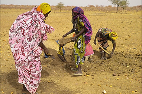 Mujeres buscan grano en un hormiguero. | Luigi Benedicto