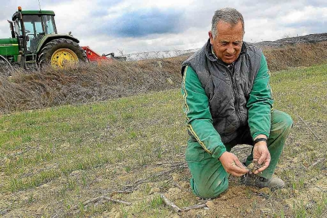 Un agricultor de Amusco, en Palencia, comprueba el estado del terreno en una de sus parcelas. | M. Brgimo