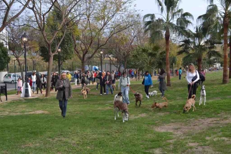 El de Fuengirola es el parque canino más grande de Andalucía. | M. Burgos