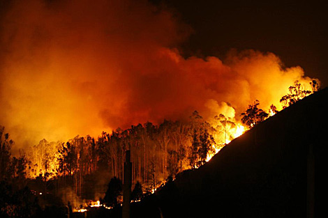 Imagen del incendio en las Fragas del Eume por la noche. | Efe