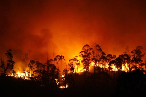 Las llamas han acabado con una parte de las joyas forestales de Europa. | Efe