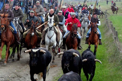 Medio centenar de caballistas corren los toros en el prado de Gallegos ...