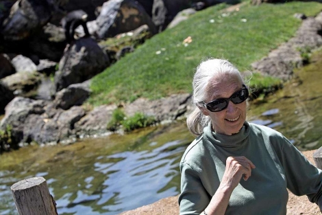 Jane Goodall, este jueves en Bioparc Valencia | Efe