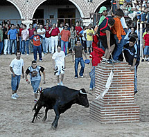 Fiestas en La Seca (Valladolid). | EM