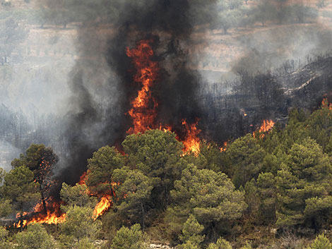 Uno foco de los incendios Valencia, en la localidad de Llombai. | Reuters