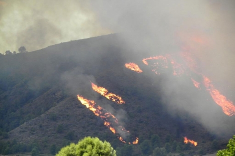 Vista del incendio de Helln (Albacete). | Miguel Andjar / Efe