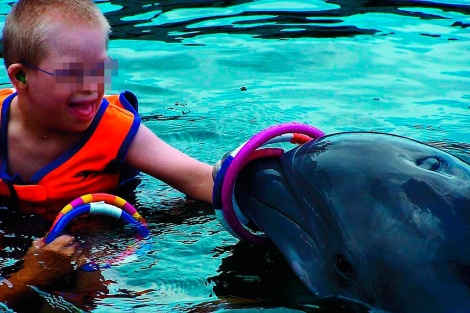Un nio discapacitado realiza actividades teraputicas con un delfn | Island Dolphin Care
