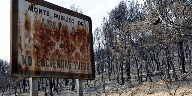 Un cartel avisa del riesgo de incendio en el monte quemado de Andilla. | EFE
