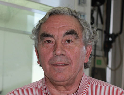 Prof. Antonio Hernando del IMA-UCM