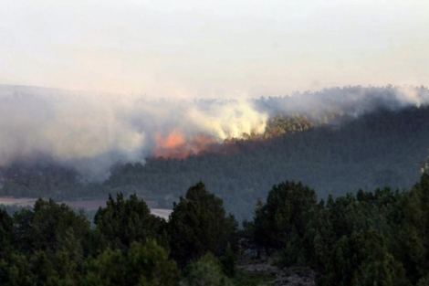 Incendio en el Parque Natural del Alto Tajo, en Guadalajara. | Efe