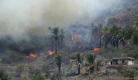 Incendio en San Sebastin de la Gomera. | Carlos Fernndez