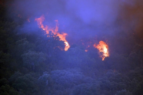 Fuego en el Parque Nacional de Cabaeros. | Efe