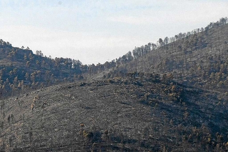Cerros calcinados en el incendio de Torremanzanas. | Efe