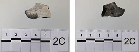 Vista del mismo fragmento craneal por la parte interna (izq.) y por la parte externa (dcha.).