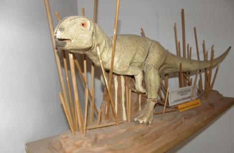 El dinosaurio vegetariano más pequeño que habitó en la Península | Ciencia  