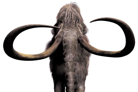 Recreacin artstica de un mamut. | El Mundo