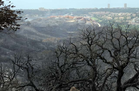Parte de la superficie quemada durante el incendio. | ELMUNDO.es