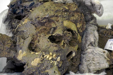 Restos de un neandertal del yacimiento murciano de la Cueva Negra. | EM