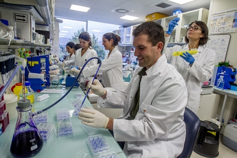 Arkaitz Carracedo estudia en su laboratorio distintas muestras de protenas. | I. Andrs