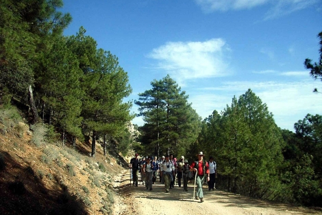 Un grupo de senderistas en el parque de Cazorla, Segura y Las Villas. | M. Cuevas