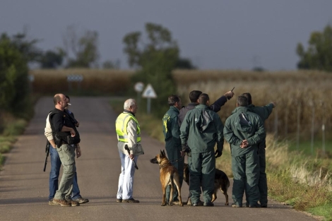La Guardia Civil rastrea los maizales que rodean El Salobral. | Alberto di Lolli