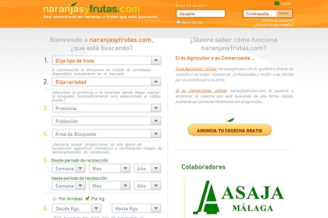 Pantallazo de la web 'naranjasyfrutas.com'.