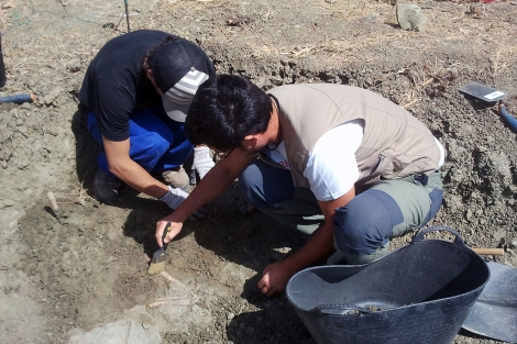 Dos de los miembros del equipo trabajan en la exhumacin. | A. Lozano