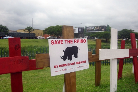 Cruces por la muerte de los rinocerontes. | J. B.