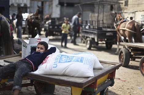 Un nio palestino descansa sobre un saco de harina en Gaza. | Efe