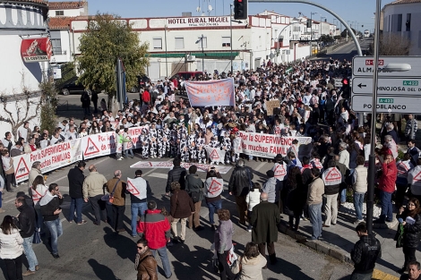Protesta de los ganadores del valle de los Pedroches. | M. Cubero
