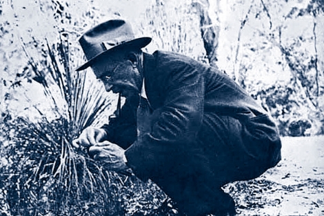Morton Wheeler en plena campaña de recolección en Australia en 1931 | ELMUNDO.