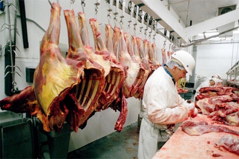 Un carnicero prepara carne de caballlo en Oregon. | AP.