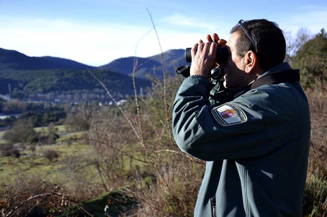 Un agente forestal vigila los bosques en la Sierra de Guadarrama. | Foto: Efe / Ral Casado.